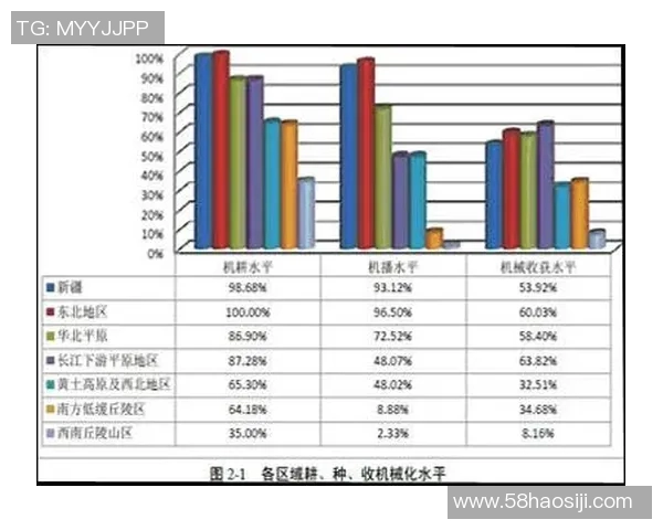 武汉排球队的运营模式与发展策略深度剖析 武汉排球队的运营模式与发展策略深度剖析
