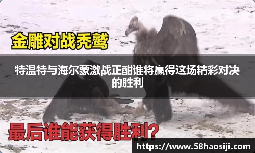 特温特与海尔蒙激战正酣谁将赢得这场精彩对决的胜利