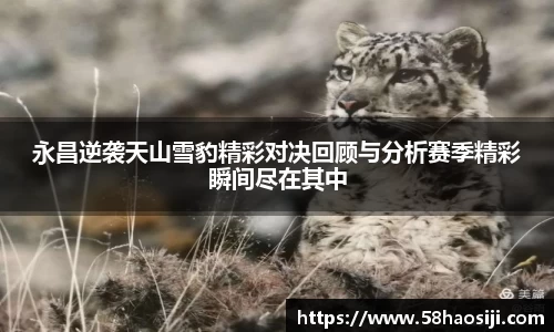 门徒平台官网